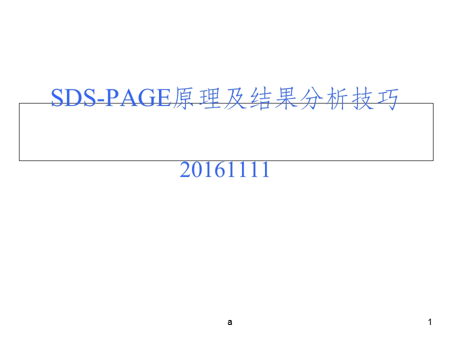 SDS PAGE原理及结果分析技巧课件.ppt_第1页