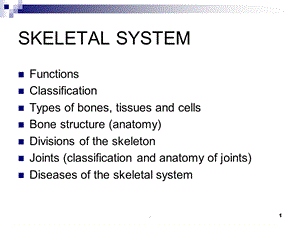 医学英语 骨骼课件.ppt