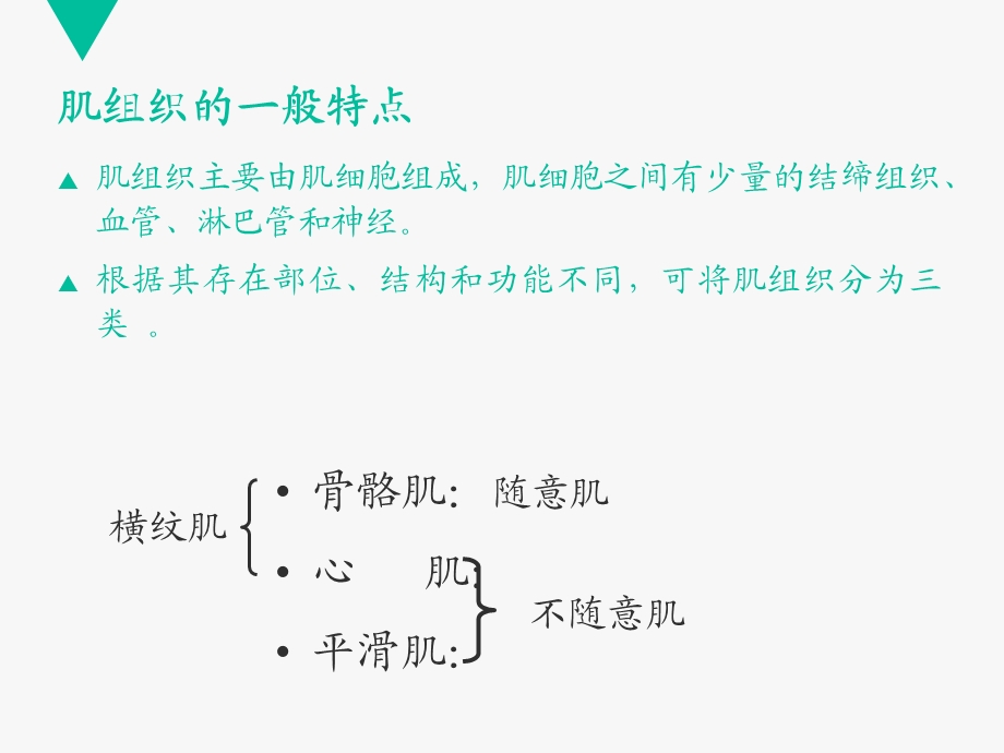 肌组织课件详解.ppt_第3页