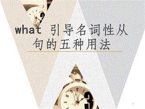 what引导名词性从句的用法课件.ppt