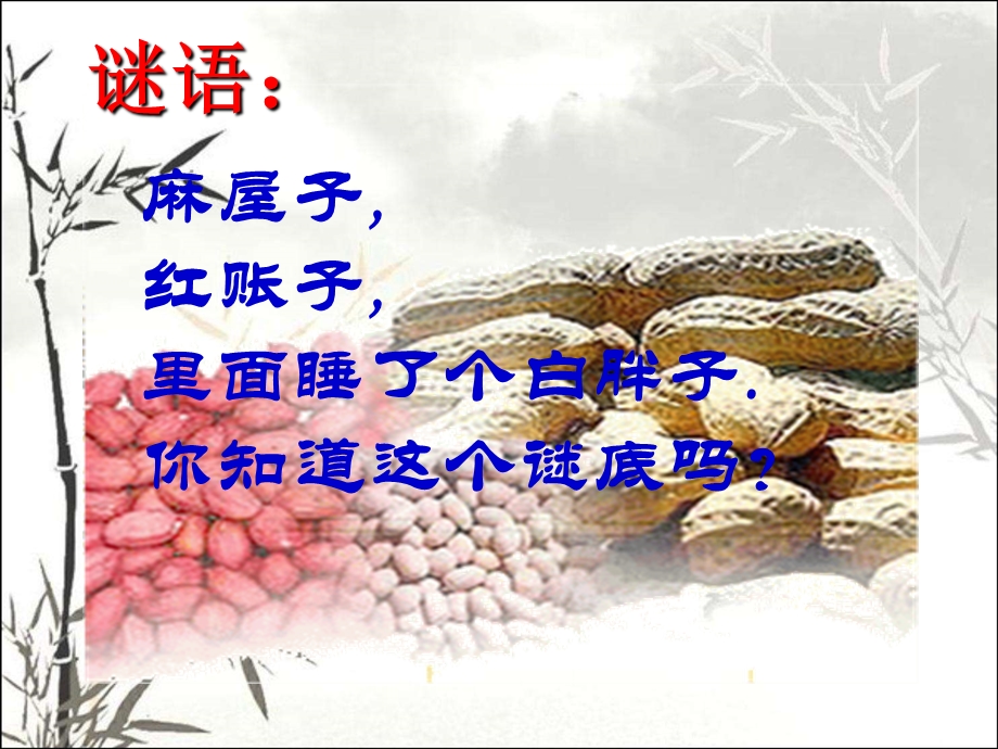 花生的生长发育 课件.ppt_第1页