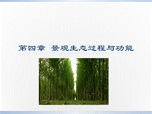 第四章 景观生态过程与功能课件.ppt