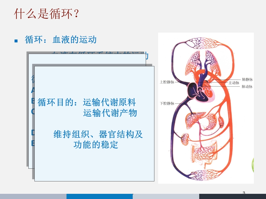 CV及循环监测课件.ppt_第3页