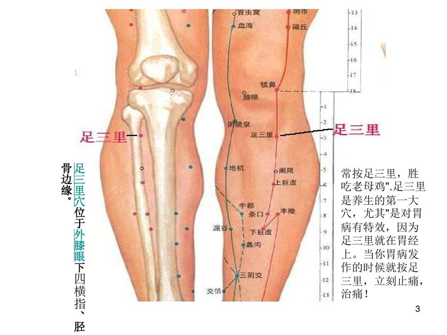 中医急救培训PPT幻灯片课件.ppt_第3页