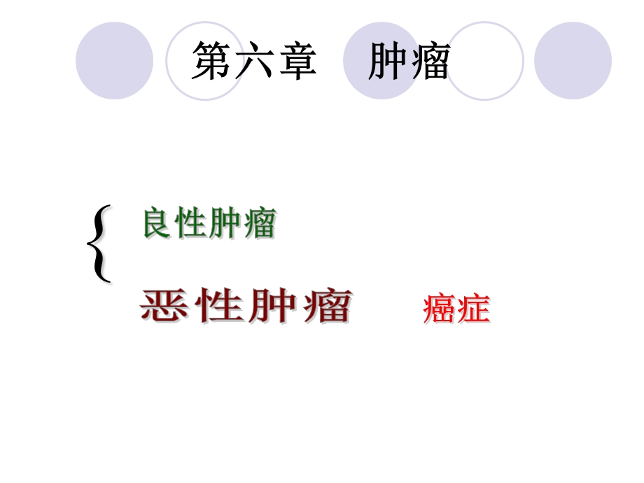 第6章 病理学肿瘤课件.ppt_第1页