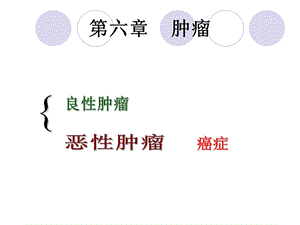 第6章 病理学肿瘤课件.ppt