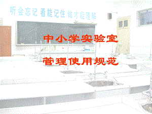 中小学实验室使用规范汪玉强课件.ppt