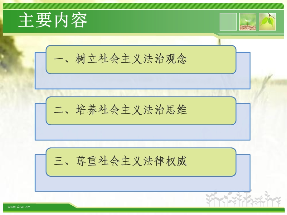 树立法治观念 尊重法律权威 课件.pptx_第2页