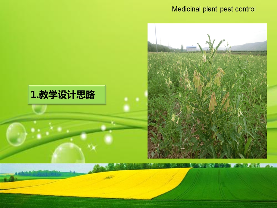 信息化教学大赛说课ppt课件.ppt_第3页