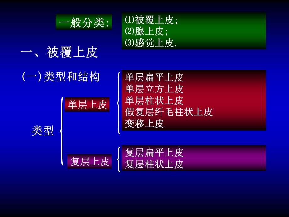 人体基本组织课件.ppt_第2页