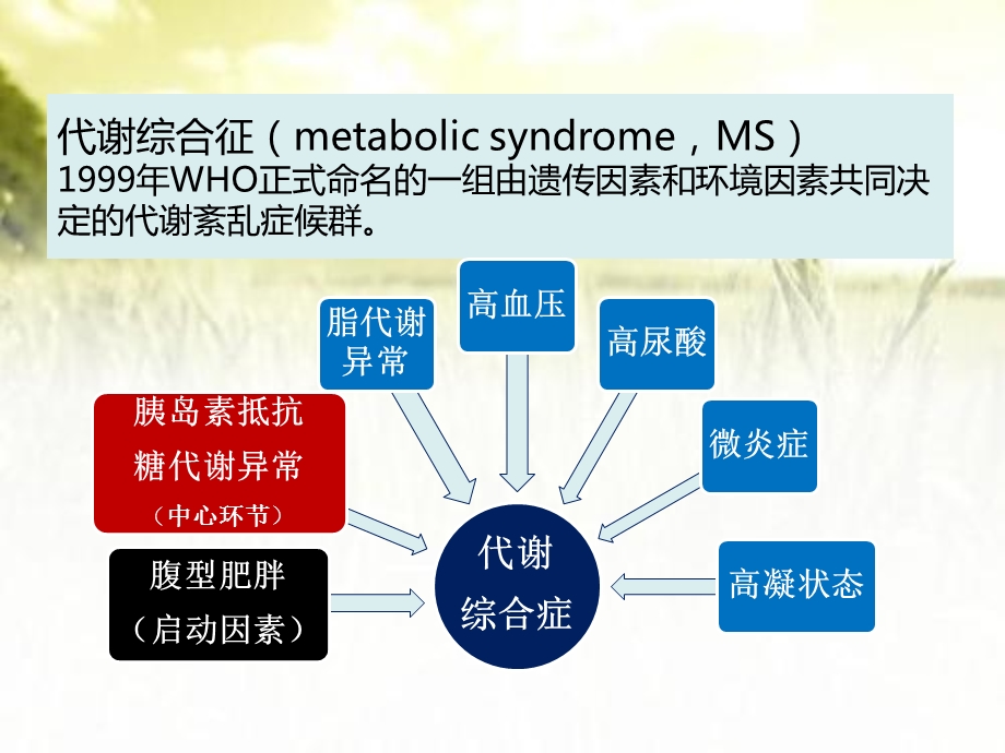 代谢相关性肾损害诊治进展课件.pptx_第3页