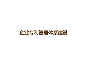 企业专利管理体系建设课件.ppt