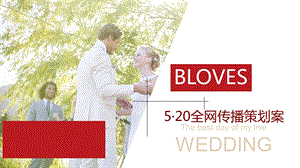 珠宝品牌BLOVES 520情人节 线上传播策略课件.ppt