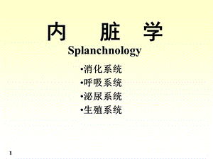 解剖学 消化系统课件.ppt