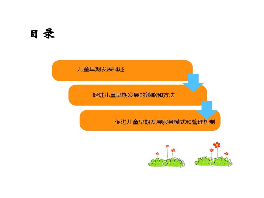 儿童早期发展内涵课件.ppt_第2页