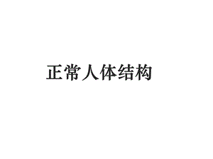 正常人体结构 课件.ppt