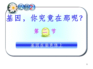 基因在染色体上 获奖ppt课件.ppt