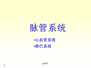 人体解剖学心血管系统课件.ppt