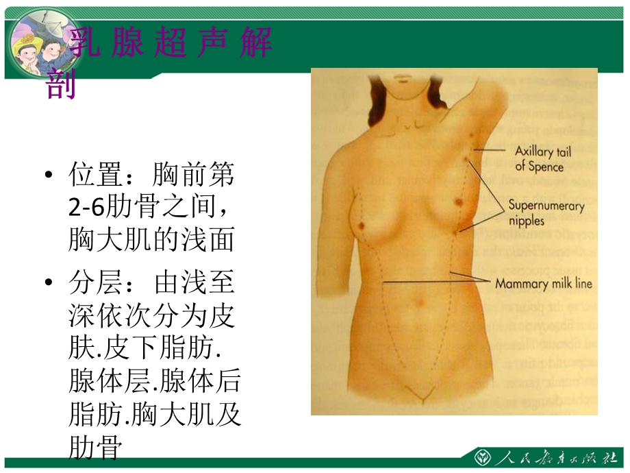 《乳腺超声》课件.ppt_第2页