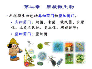 环境微生物学第2章 原核微生物课件.ppt