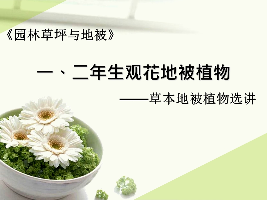 一二年生观花地被植物课件.ppt_第1页