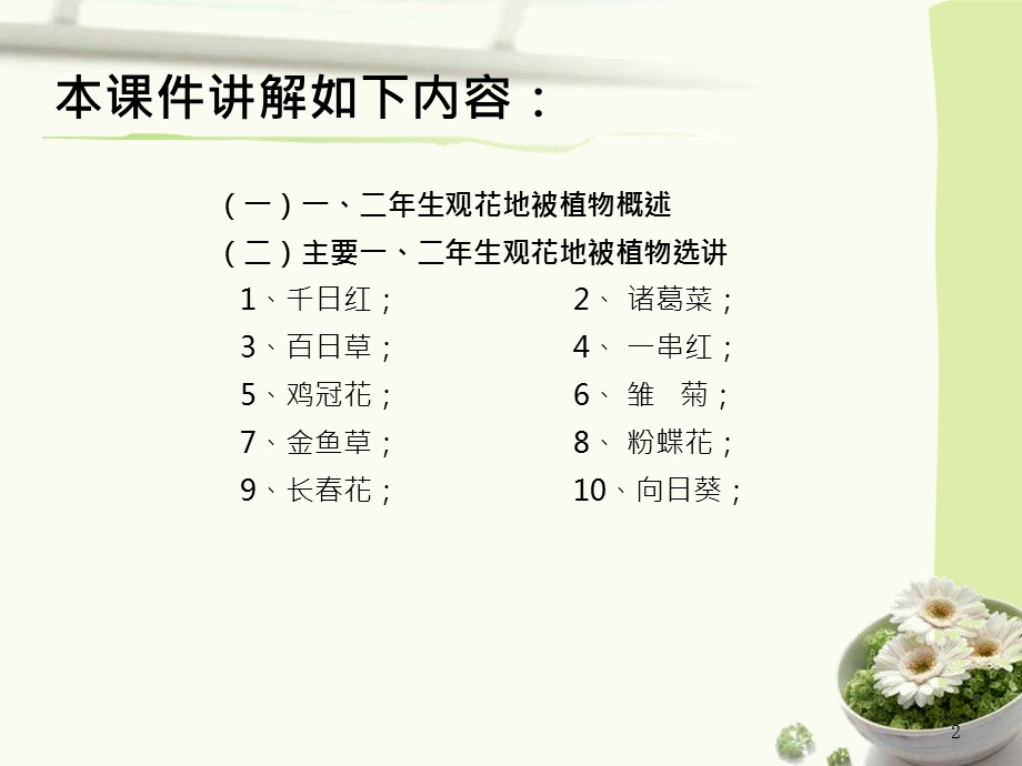 一二年生观花地被植物课件.ppt_第2页