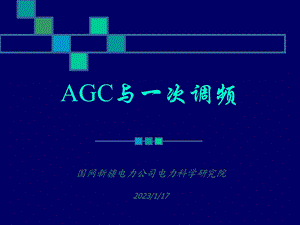 AGC与一次调频解析课件.pptx