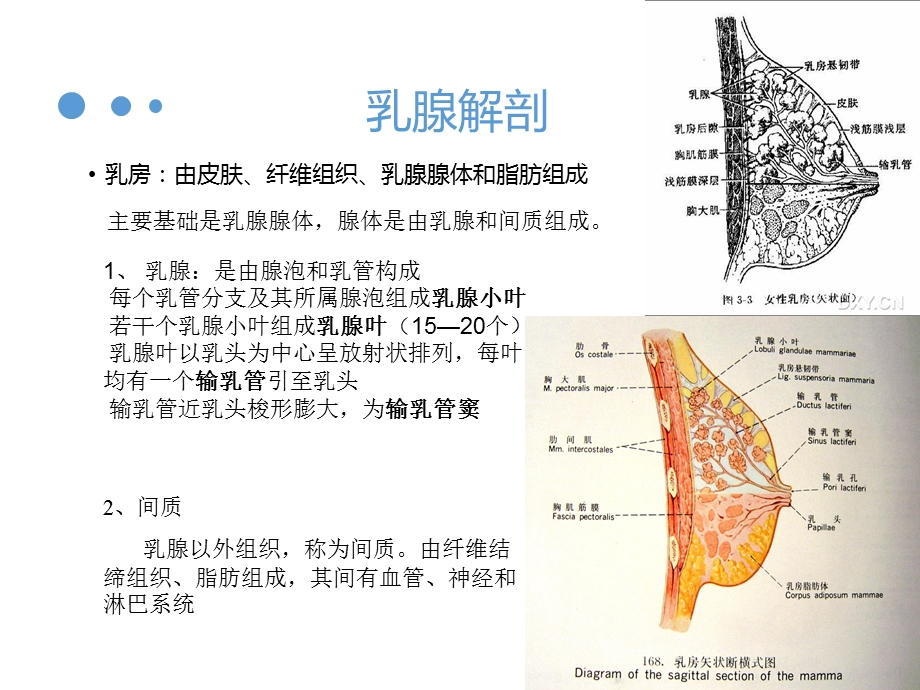 乳腺磁共振检查课件.ppt_第3页