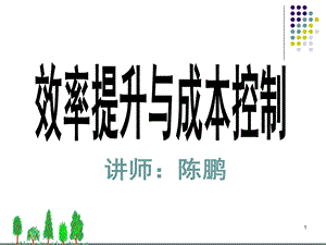 效率提升与成本控制 课件.ppt