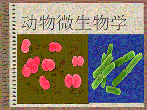 动物微生物学全套ppt课件.ppt