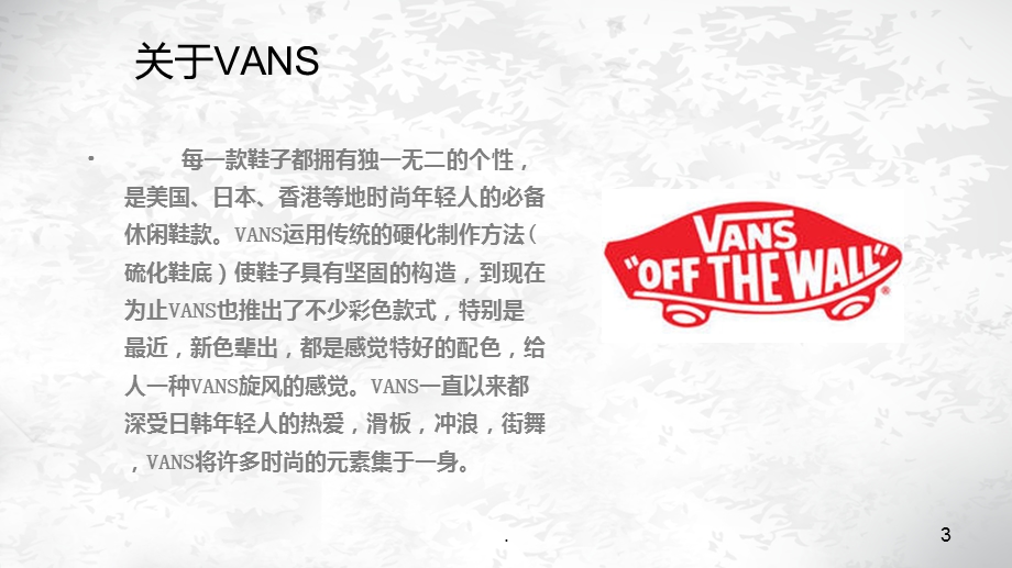 VANS品牌调研报告课件.ppt_第3页