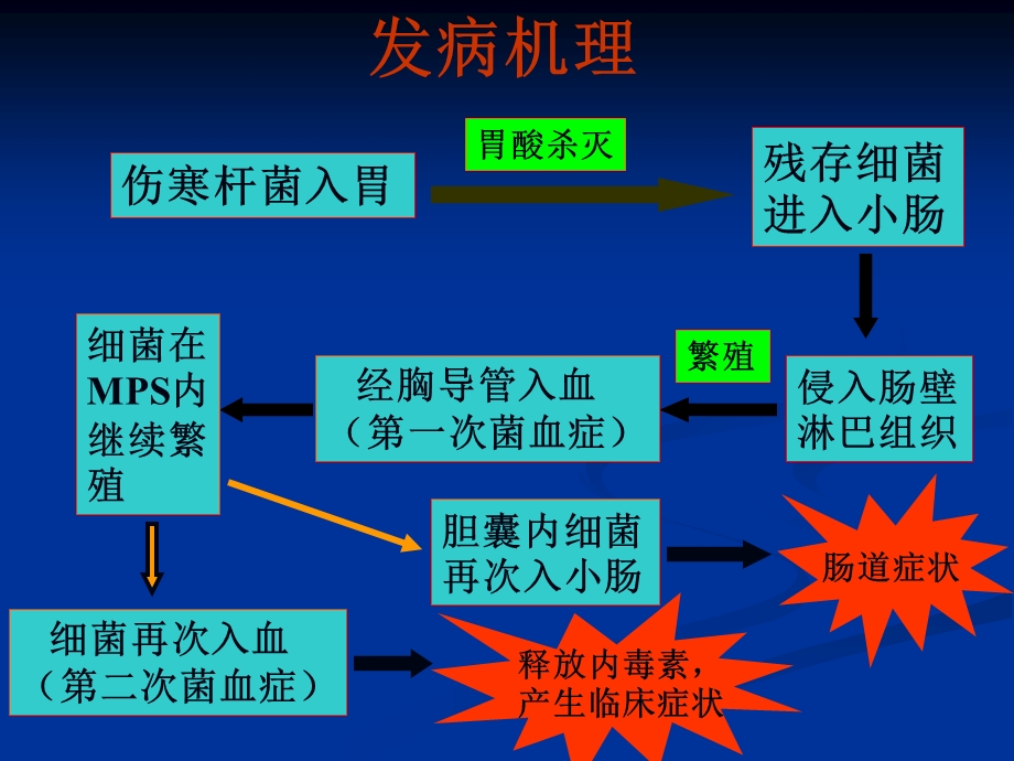 伤寒、细菌性痢疾的临床和病理课件.ppt_第3页