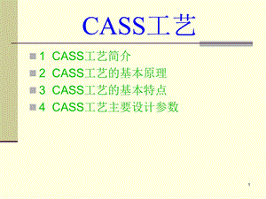 CASS工艺简介课件.ppt