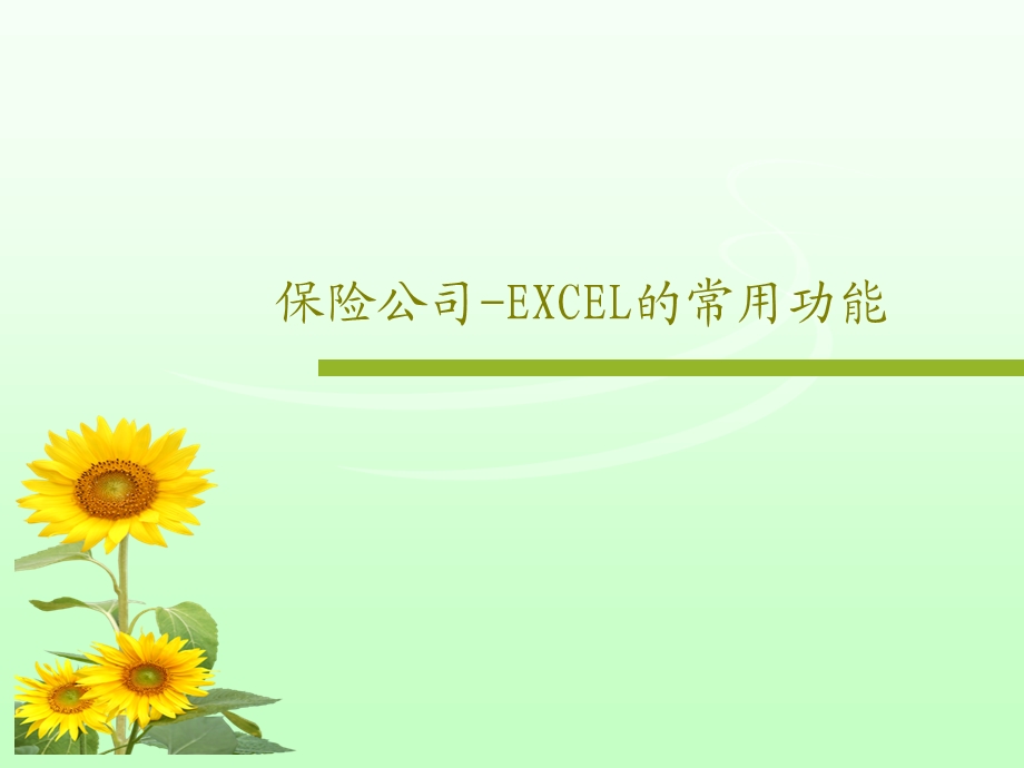 保险公司EXCEL的常用功能课件.ppt_第1页