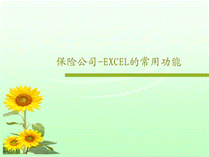 保险公司EXCEL的常用功能课件.ppt