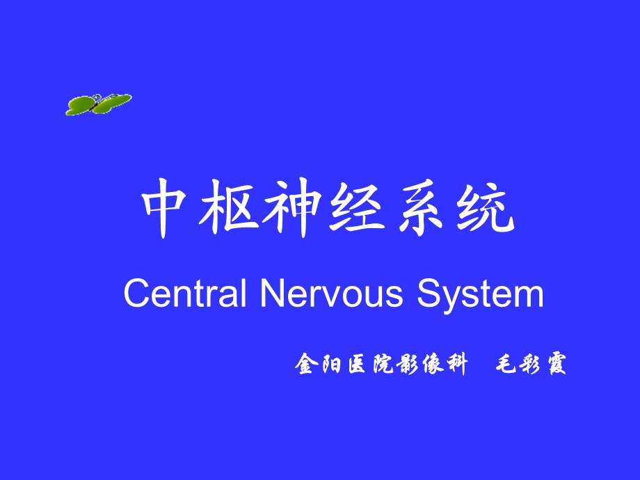 中枢神经系统(系统解剖学)课件.ppt_第1页