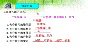 人教版七年级生物上册第三单元第五章教学ppt课件.ppt