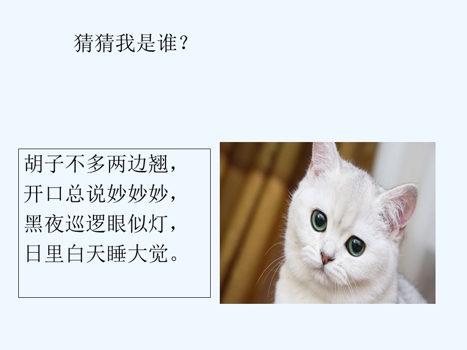 《我和动物交朋友ppt课件》.ppt_第2页