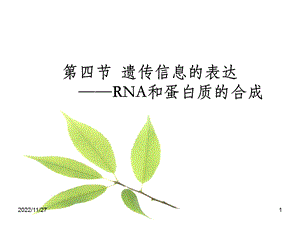 遗传信息的表达 ——RNA和蛋白质的合成课件.ppt