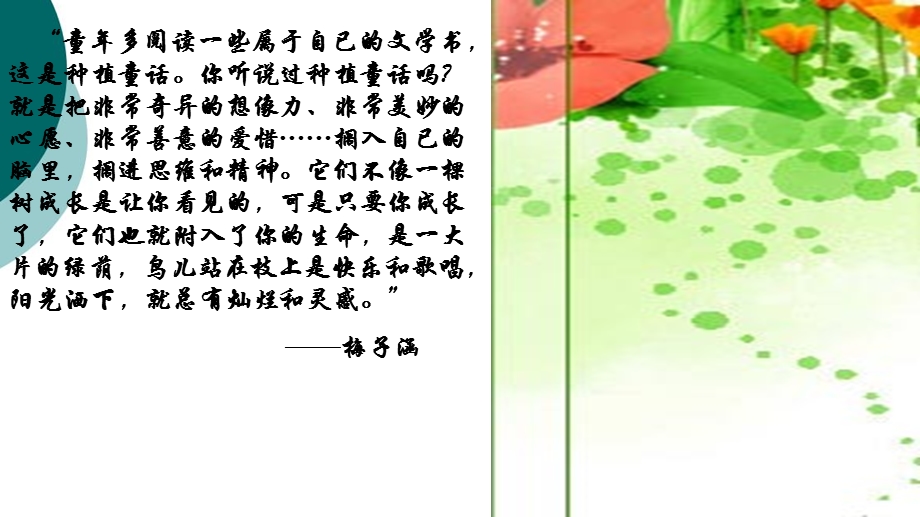 《绿野仙踪》阅读交流课课件.ppt_第1页