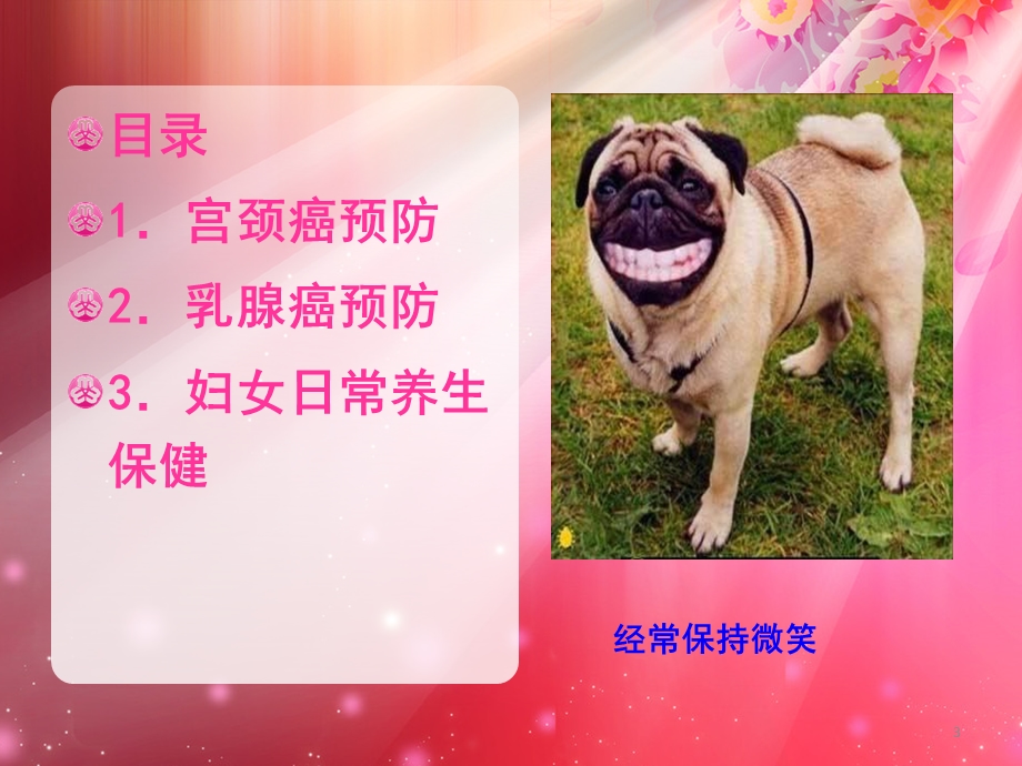 两癌防治知识课件.ppt_第3页