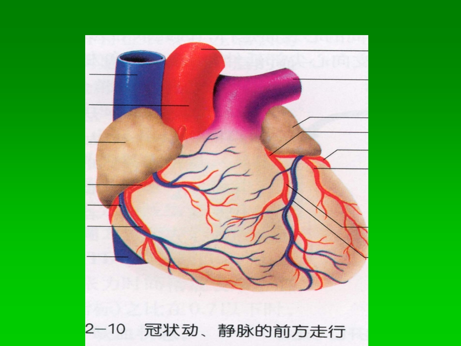 中西医冠心病心绞痛医学ppt课件.ppt_第3页