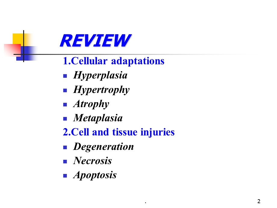 病理学损伤的修复课件.ppt_第2页
