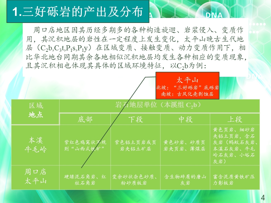 京口三好砾岩课件.ppt_第3页