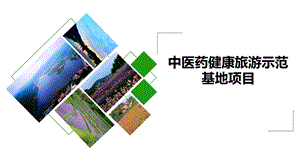 中医药健康旅游示范基地项目课件.pptx