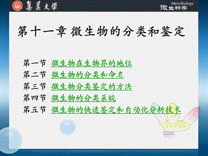 第十一章 微生物的分类和鉴定课件.ppt