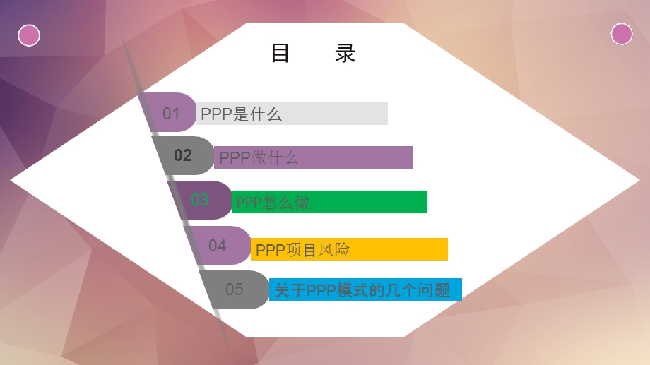 PPP项目实操详解课件.pptx_第2页