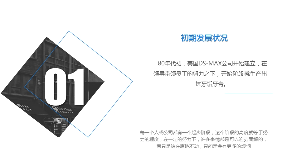 美国DS MAX公司牙膏经营战略课件.pptx_第3页