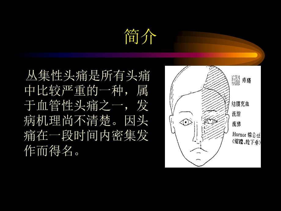 丛集性头痛课件.ppt_第2页