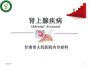 肾上腺疾病 课件.ppt